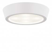 Потолочный светодиодный светильник Lightstar Urbano 214904