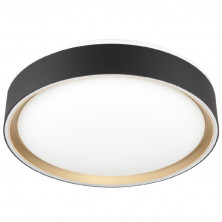 Потолочный светильник Citilux Boss CL751251G