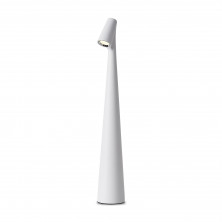 Настольный светильник Freya FR6188TL-L3W