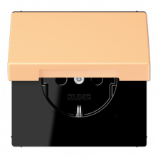 Розетка 2K+З с крышкой Jung LC1520BFKL258