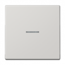 Клавиша 1-ная с линзой Jung LS990 LS990KO5LG