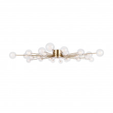 Потолочный светильник Freya FR5242CL-24BS1