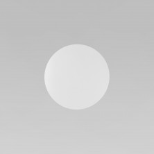 Настенный светильник 6009 Luna White