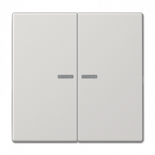 Клавиша 2-ная с 2-мя линзами Jung LS990 LS995KO5LG