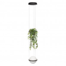 Подвесной светильник Loft IT Jardin 10121/1P Dark grey