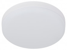 Настенно-потолочный светильник Эра LED 15-36-4K Б0054336