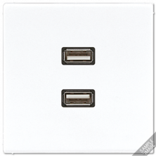 Розетка USB Jung MALS1153