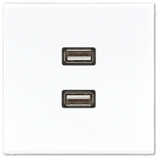 Розетка USB Jung MALS1153WW