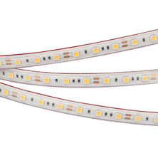 Светодиодная герметичная лента Arlight RTW-PS-B60-12mm 12V Day4000 (14.4 W/m, IP67, 5060, 5m) (Arlight, 14.4 Вт/м, IP67) 022324(2)
