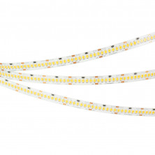 Светодиодная лента Arlight RT-A252-10mm 24V Day5000 (11 W/m, IP20, 2835, 5m) 028618(2)