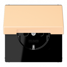 Розетка 2K+З с крышкой Jung LC1520BFKL223