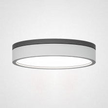 Потолочный светильник ImperiumLoft Kier 101707-26