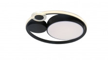Потолочный светильник Arte Lamp Stockholm A2690PL-1BK