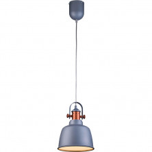 Подвесной светильник Lucia Tucci Industrial 1820.1 Sand Silver