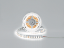 Светодиодная лента IP33 28.8W, DSG5120-24-W+WW-33