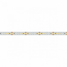 Светодиодная лента Arlight 14,4W/m 180LED/m 3528SMD холодный белый 5M 018729(2)