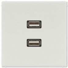 Розетка USB Jung MALS1153LG