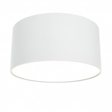Потолочный светильник Technical C032CL-12W3K-RD-W